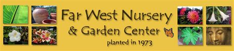 Far west nursery - Far West Nursery is a family-owned business in Santa Cruz, CA, that has been providing an extensive selection of ornamental landscape plants since 1973. They offer a wide range of colorful flowering plants, fruit trees, and privacy screening plants, as well as unique pottery, houseplants, and gardening supplies. With a focus on organic and …